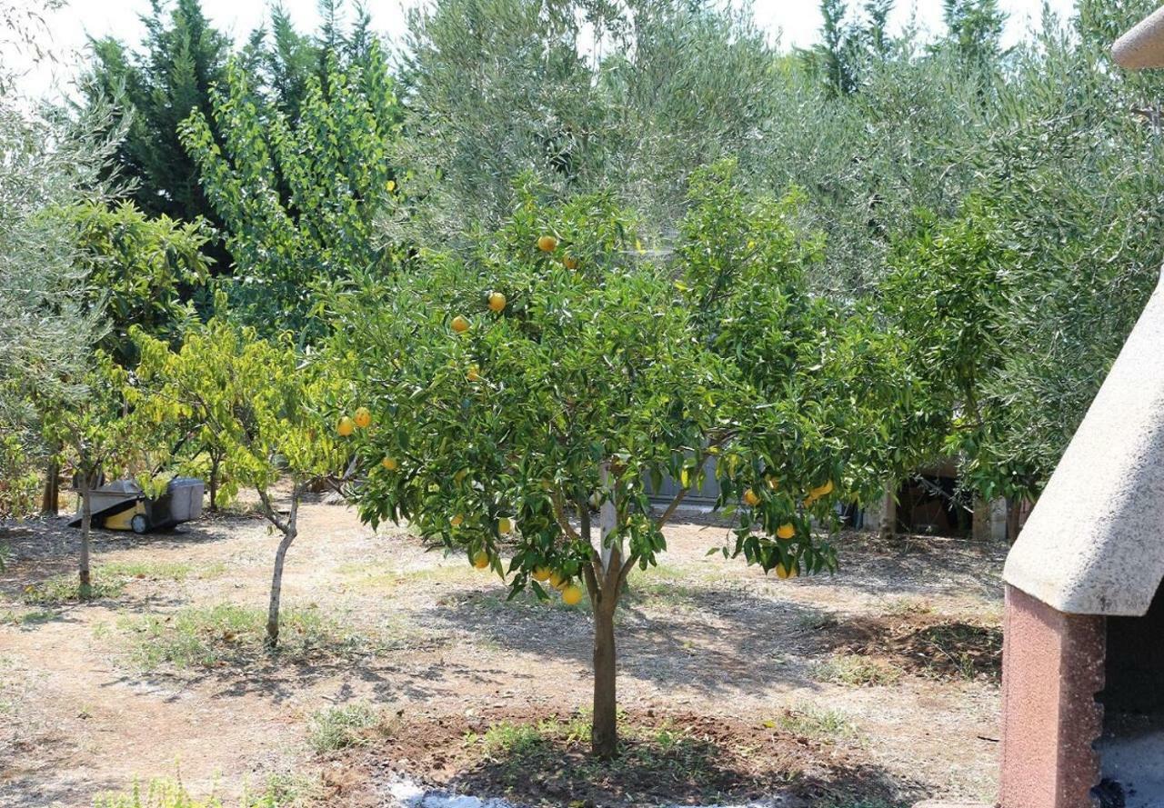 Villa La Piana Peschici Esterno foto